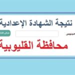 نتيجة الصف الثالث الإعدادي 2025 بالقليوبية