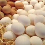 انخفاض أسعار البيض