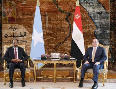 الرئيس السيسي وحسن شيخ محمود