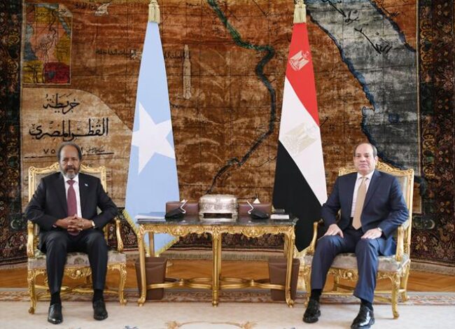 الرئيس السيسي وحسن شيخ محمود