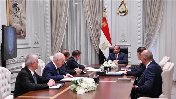 الرئيس السيسي يلتقي المدير العام لهيئة الطاقة النووية الروسية