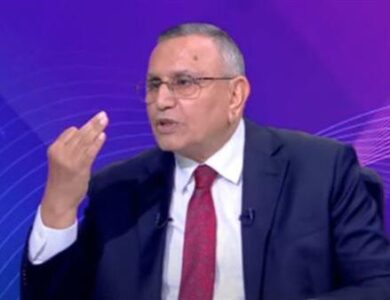 عبد السند يمامة، رئيس حزب الوفد