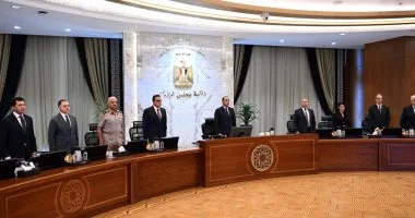 مجلس الوزراء