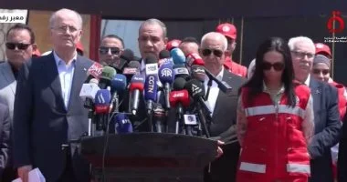 وزير الخارجية السفير بدر عبدالعاطي