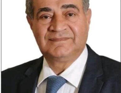 علي المصيلحى وزير التموين السابق