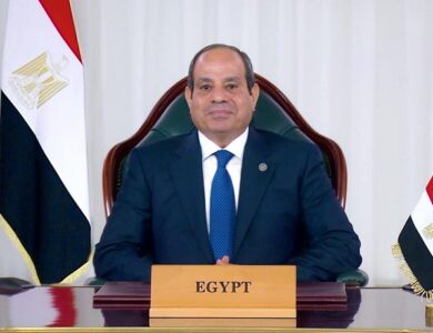 الرئيس عبدالفتاح السيسي ، رئيس جمهورية مصر العربية