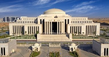 مجلس الشيوخ 2025