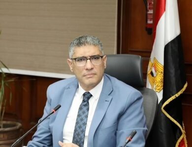المهندس عادل النجار