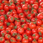 ارتفاع سعر الطماطم