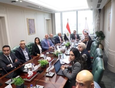 "إي آند مصر" تبحث تعزيز شراكتها مع الحكومة لتسريع التحول الرقمي في القطاع الصحي