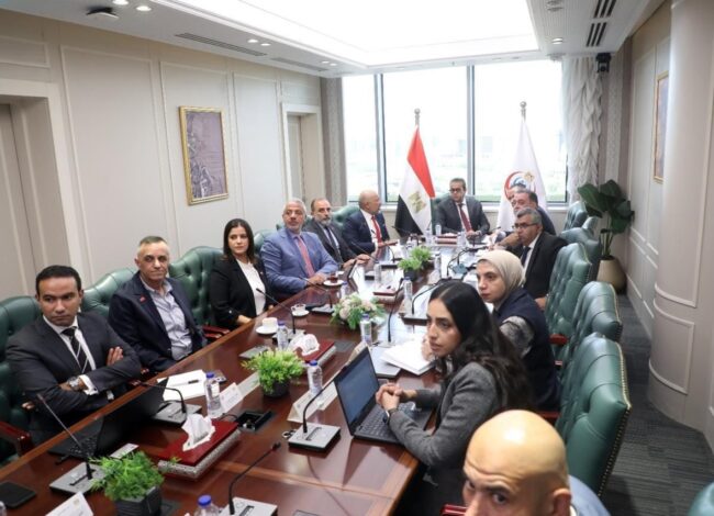 "إي آند مصر" تبحث تعزيز شراكتها مع الحكومة لتسريع التحول الرقمي في القطاع الصحي