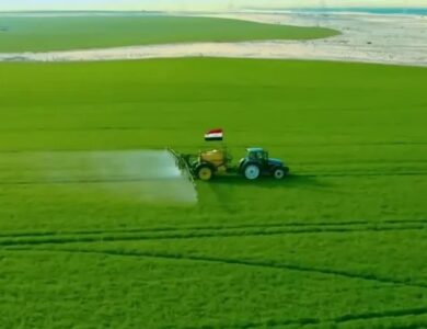 مشروع المليون ونصف فدان