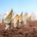 أراضي للبيع بالدولار من خارج مصر