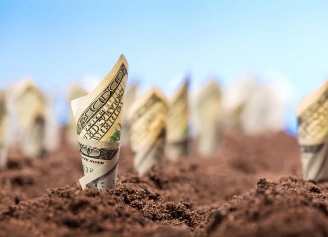 أراضي للبيع بالدولار من خارج مصر