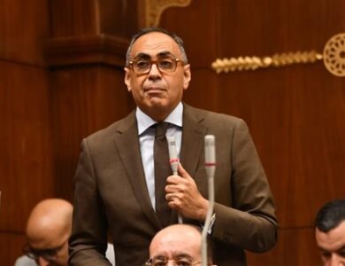 الدكتور هاني سري الدين نائب رئيس حزب الوفد