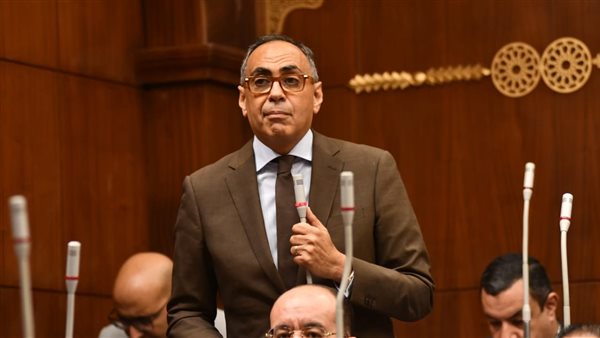 الدكتور هاني سري الدين نائب رئيس حزب الوفد