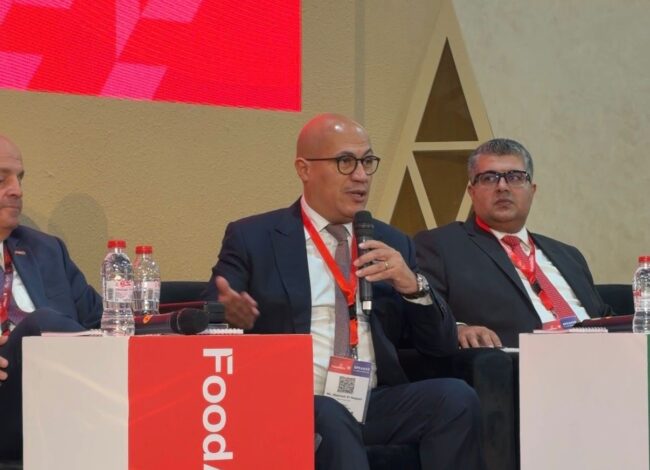 هشام النجار، نائب رئيس المجلس التصديري للحاصلات الزراعية