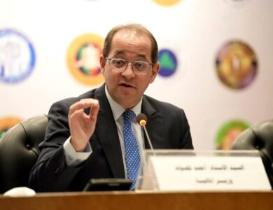 أحمد كجوك وزير المالية