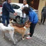 حملة شاملة لحماية الثروة الحيوانية والداجنة من وزارة الزراعة