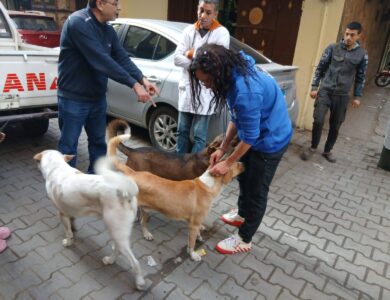 حملة شاملة لحماية الثروة الحيوانية والداجنة من وزارة الزراعة