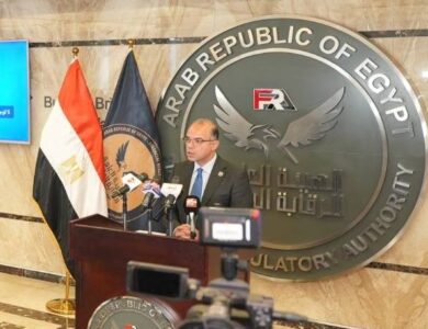 الدكتور محمد فريد رئيس الهيئة العامة للرقابة المالية