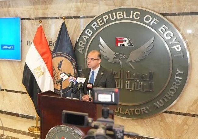 الدكتور محمد فريد رئيس الهيئة العامة للرقابة المالية