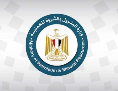 وزارة البترول والثروة المعدنية