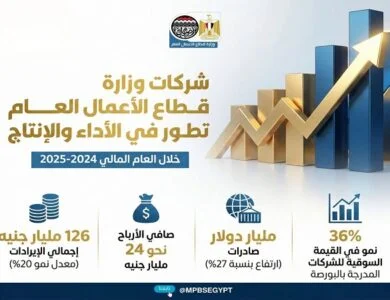 أداء شركات وزارة قطاع الأعمال العام خلال 2024-2025
