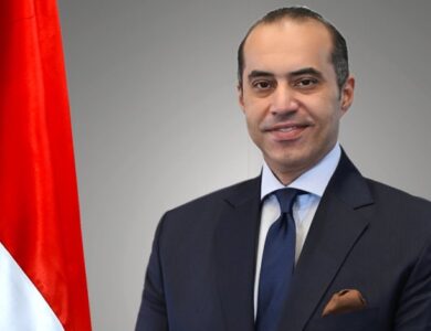 المستشار محمود فوزي وزير للشؤون النيابية والقانونية