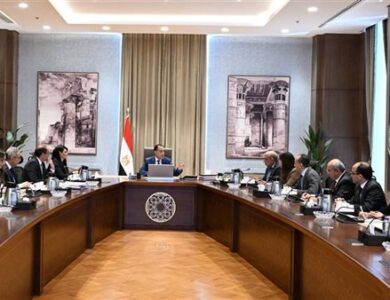 مجلس الوزراء