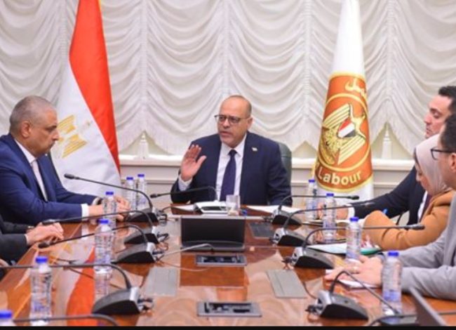 "العمل" و"ليوني مصر" يتفقان على توظيف 3400 شاب بقطاع ضفائر السيارات