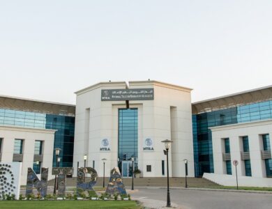 شهد الجهاز القومي لتنظيم الاتصالات إقبالا واسعا من أكثر من 30 شركة ومؤسسة على أول مزاد رسمي إلكتروني لتخصيص الأرقام المختصرة