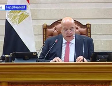 المستشار هشام بدوي