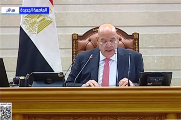 المستشار هشام بدوي