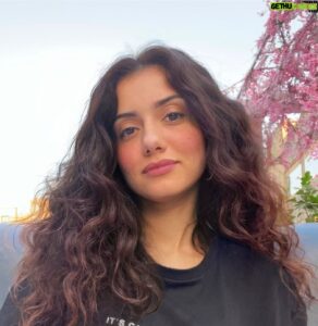 جيهان الشماشرجى