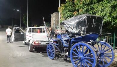 ضوابط تأجير الدواب بالمناطق السياحية