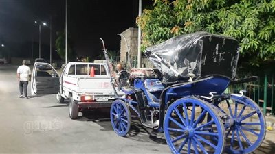 ضوابط تأجير الدواب بالمناطق السياحية