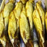 أسعار الرنجة