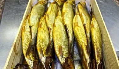 أسعار الرنجة