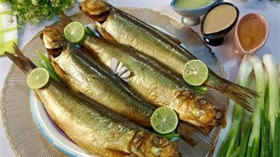 اسعار الرنجة 