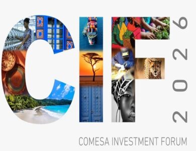 مصر تقود استثمارات الكوميسا في 2024