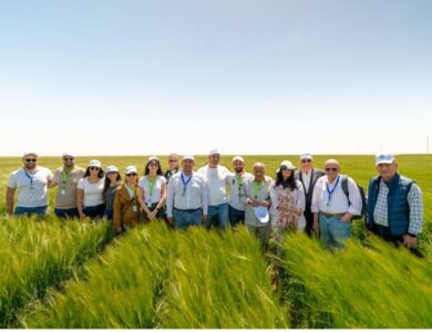 Al Ahram Beverages Advances Local Sourcing and Sustainable Agriculture with 2026 Barley Harvest Season Opening in East Oweinat
