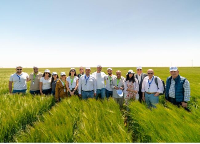 Al Ahram Beverages Advances Local Sourcing and Sustainable Agriculture with 2026 Barley Harvest Season Opening in East Oweinat