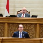وزير المالية أمام مجلس النواب