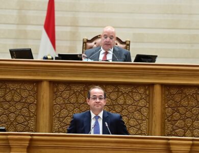 وزير المالية أمام مجلس النواب