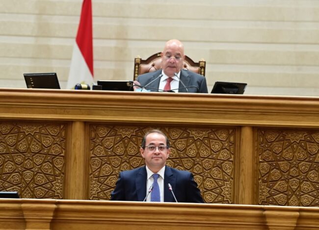 وزير المالية أمام مجلس النواب