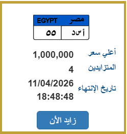 منافسة مشتعلة في مزاد المرور.. 4 متنافسين على لوحة مميزة برقم «أ س د - 55»