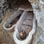 اكتشاف أثري جديد بالمنيا.