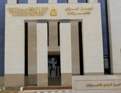 التنظيم والادارة