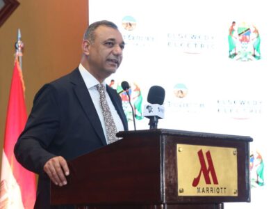 مشروعات السويدي إليكتريك في تنزانيا تعزز الشراكة المصرية الأفريقية